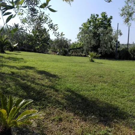 Valle Degli Ulivi